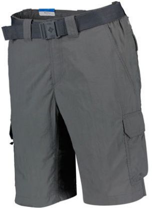 Picture of Silver Ridge II Cargo shorts