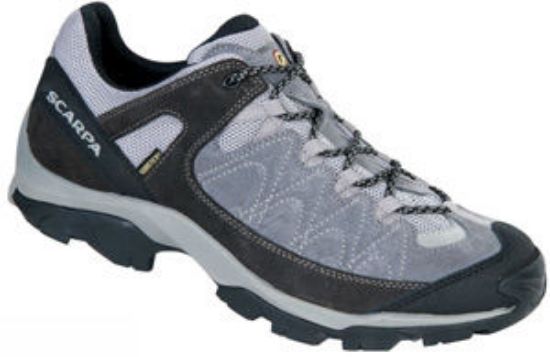 Picture of Vortex GTX shoe