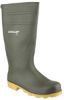 Picture of Dunlop Wellington boots