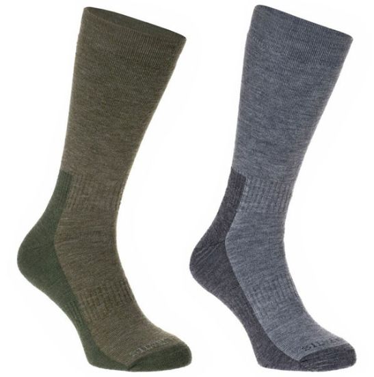 Picture of All Terrain Hiker Twin Pack socks 