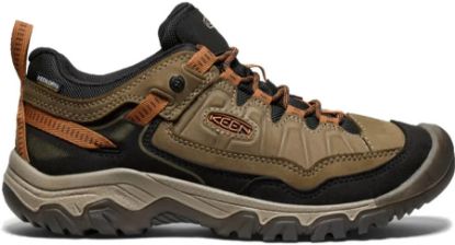 Picture of Targee IV WP shoe 